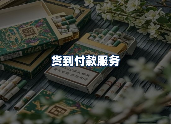 专业团队办公环境